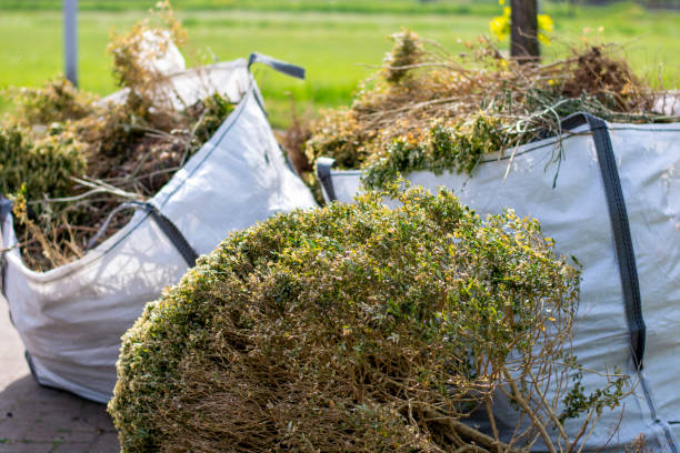 Best Shed Removal  in Drew, MS